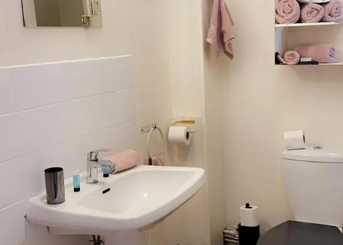 Hyper Centre, Remparts, Vieille , Cosy, Possible Faire A Pieds Apartment